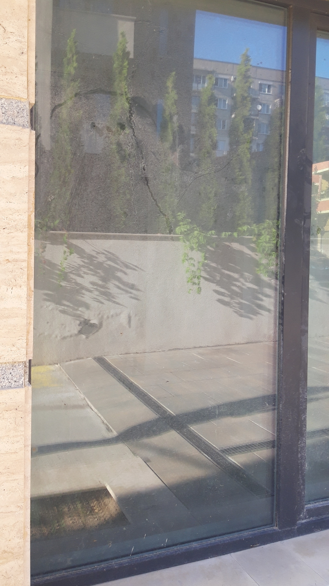 Before photo for Window Cleaning