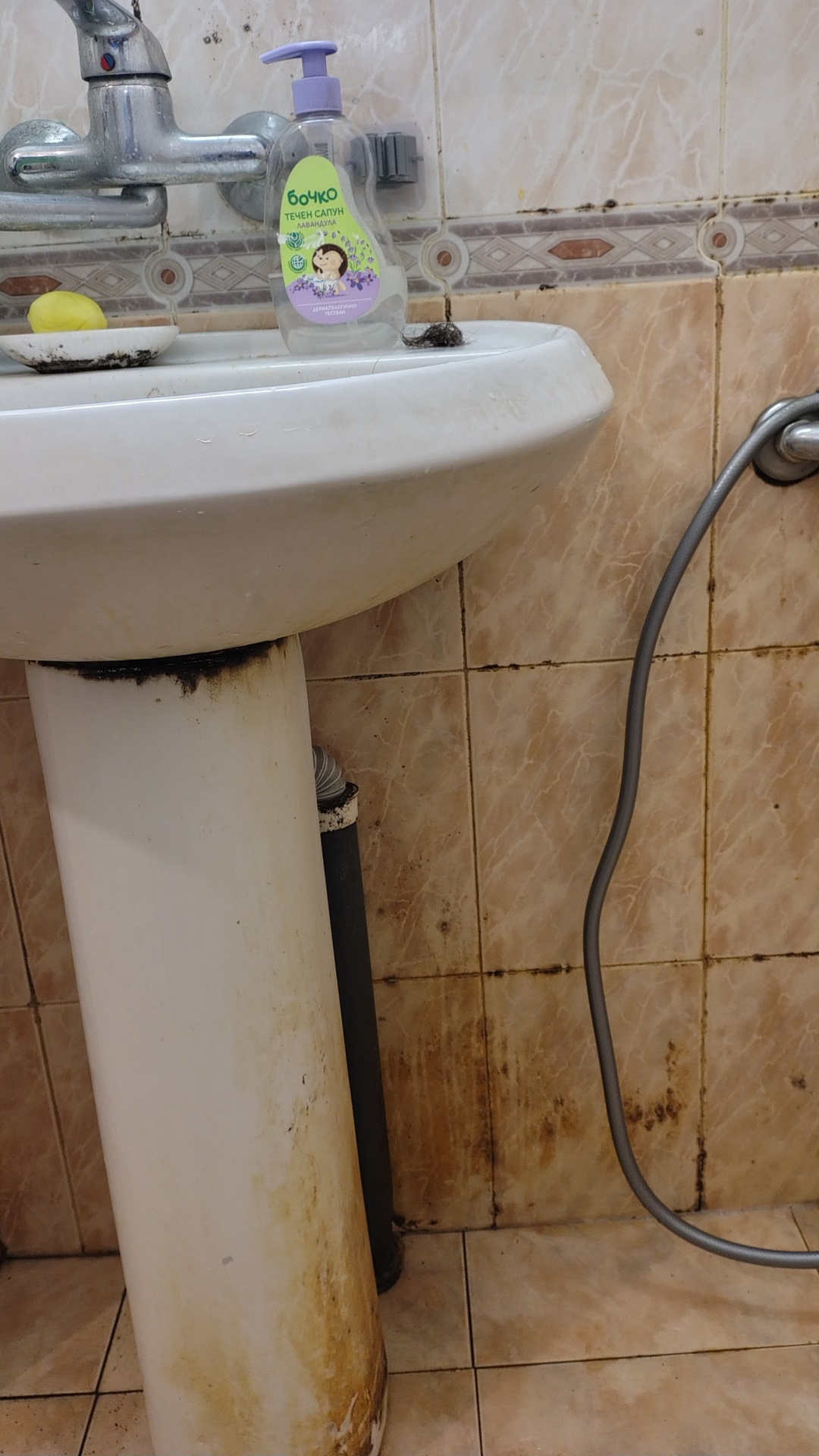 Before photo for Bathroom Cleaning