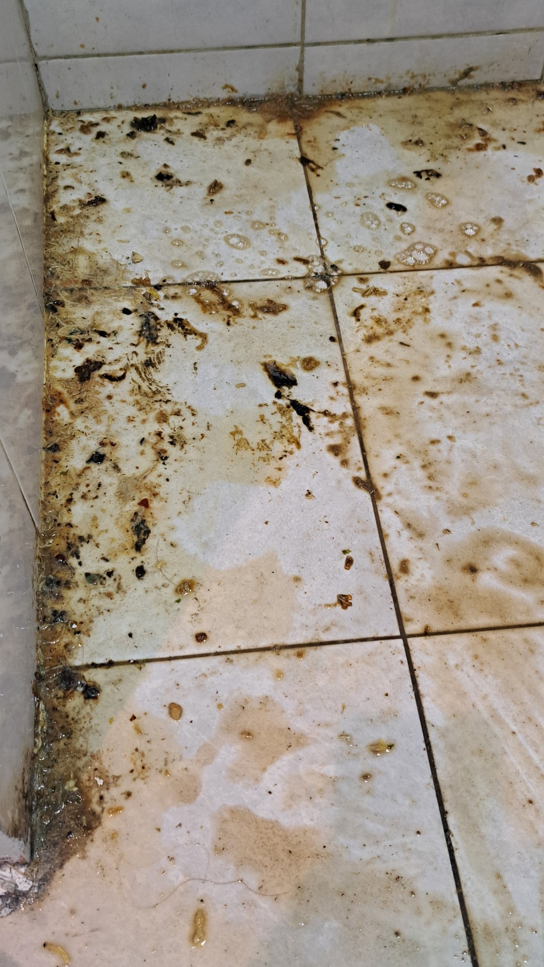 Before photo for Почистване след наематели