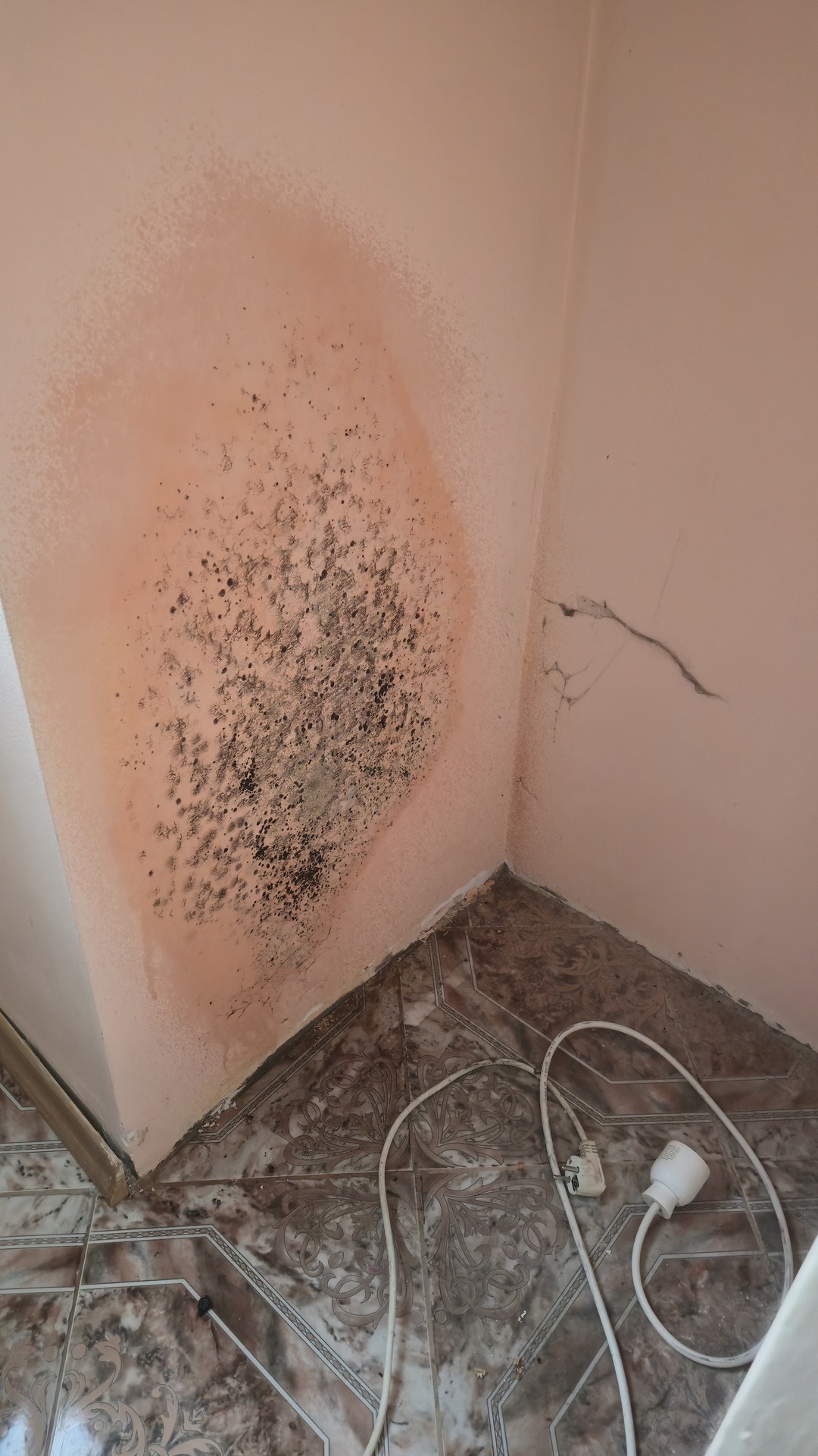 Before photo for Почистване на баня